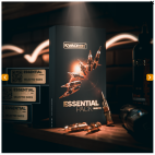 CARTOUCHES KWADRON PACK ESSENTIAL SHADER