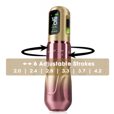 MACHINE ROTATIVE PEN EZ P6 AVEC DOUBLE BATTERIE 