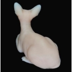 CHAT SPHINX EN SILICONE ULTRA REALISTE