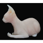 CHAT SPHINX EN SILICONE ULTRA REALISTE