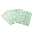 DERMALIZE FILM PROTECTION TATOUAGE